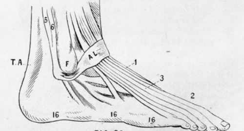Fig.20.
