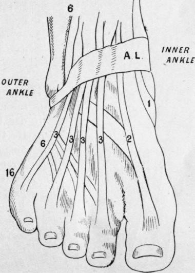 Fig. 21.