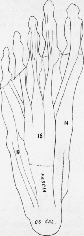 Fig. 22.