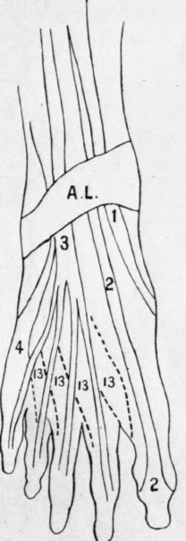 Fig.26.