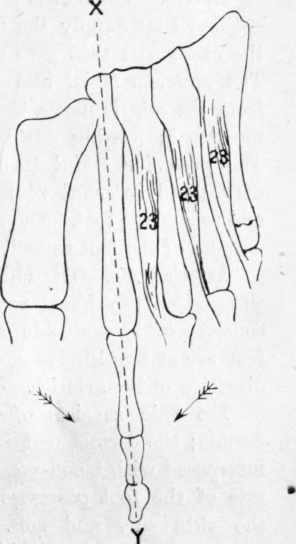 Fig. 27.