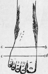 Fig. 33