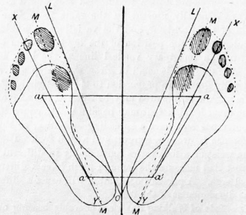 Fig. 34. Military Position Of Standing