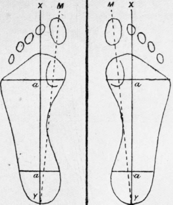 Fig. 38. How The Feet Should Fall In Walking