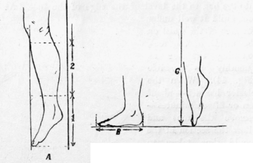 Fig. 45