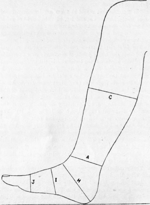 Fig 51