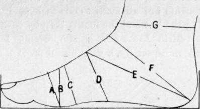 Fig 53