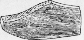Fig. 82.