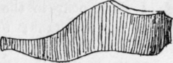 Fig. 84.