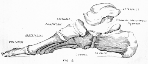 Joints 15