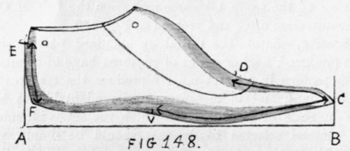 Shoe Grading 167