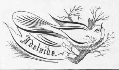 Ornamental Designs For Card Writers 567