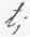 Proportion Of Small Letters 26