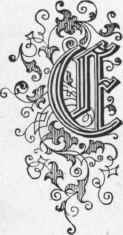 Roman And Brush Letter Alphabets Brush Letters For 615