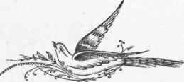 Specimens Of Ornamental Cards 574