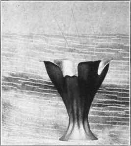 Pig. 113. Copper vase raised from flat piece of metal.