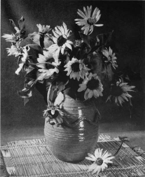 A pottery vase