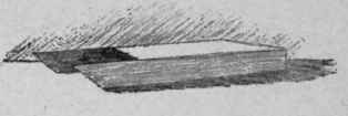 No 21 Sled 28