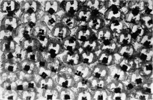 Pattern structures