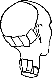 The piece at the back of the head