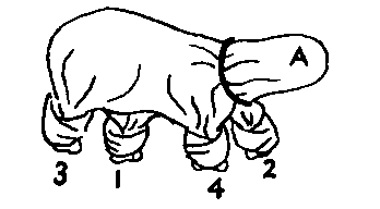Holding 2 And 4 Together