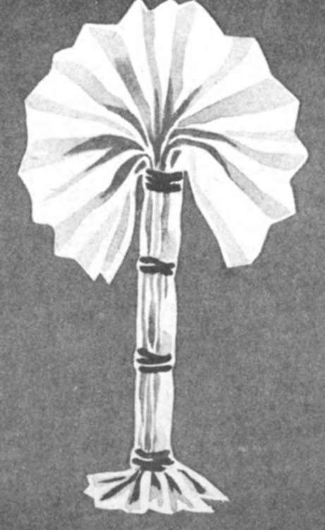 Palm Tree