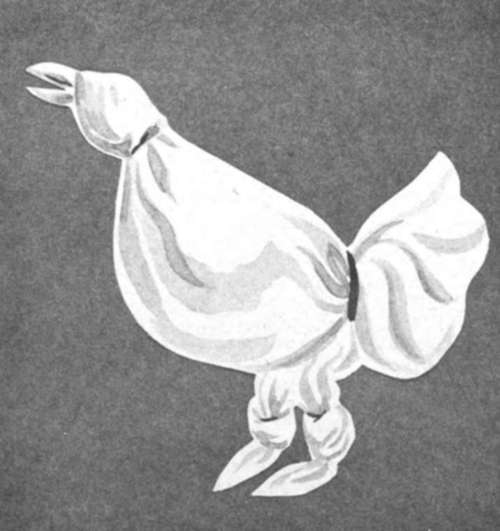 Rooster