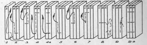 Steps In Sewing