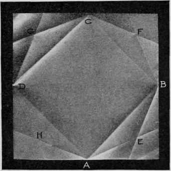 VI The Octagon 80