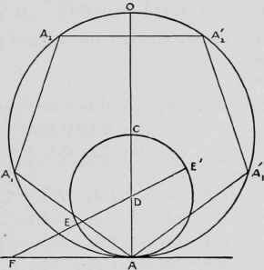 XI Polygons Continued 132