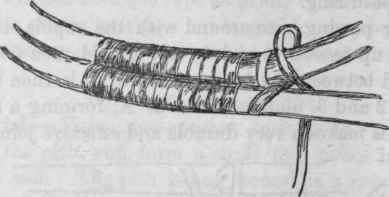 Detail of Rings.