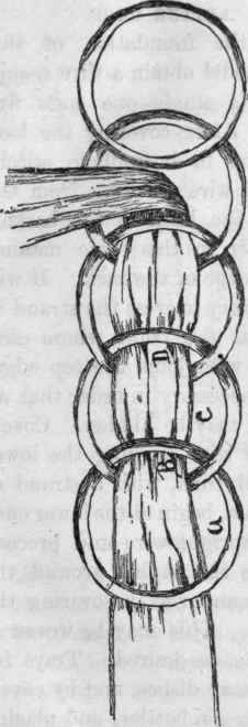 Fig. 15. Detail of Napkin Ring.