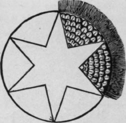 Feather Screen 3