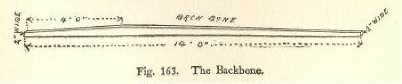 Fig. 163. The Backbone.
