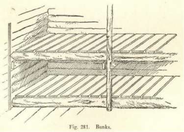 Fig. 281. Bunks.