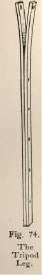 Fig. 74. The Tripod Leg.