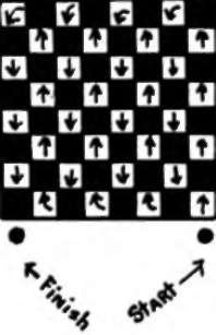 Line up the checkers on both sides