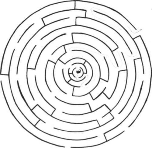 Mouse Cage Puzzle