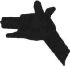 Shadow Pictures