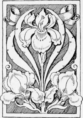 A Host Box Cover 341