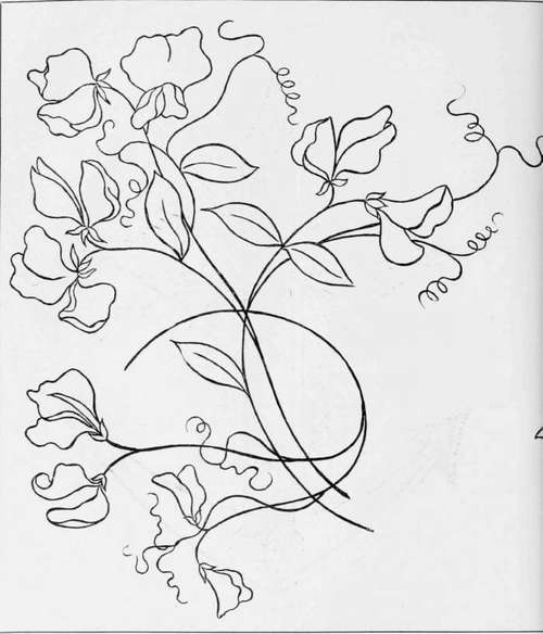 Embroidery Design (Sweet Pea) Sui