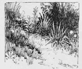 Fig. 21. Treatment of Foreground Herbage.