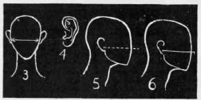 Figs. 3, 4, 5, 6.   First Measurements.