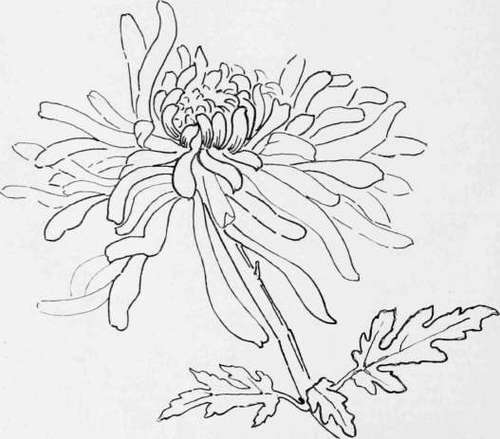 How Students Should Sketch 356