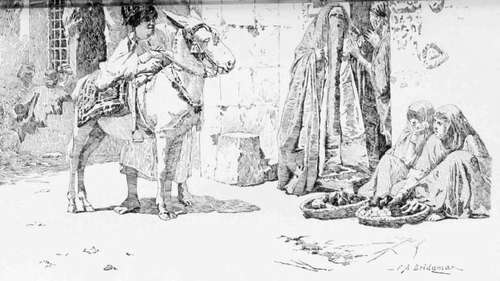 Pen Drawing For Reproduction 3 714