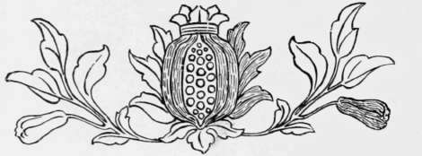 Pomegranate Detail Of The Superfrontal Shown Below.