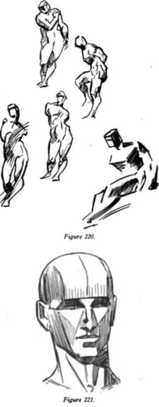 Contour Of The Head