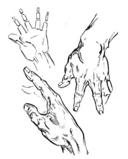 Hand