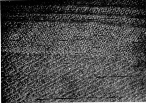 Fabric in a diamond twill