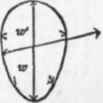 Oval 41
